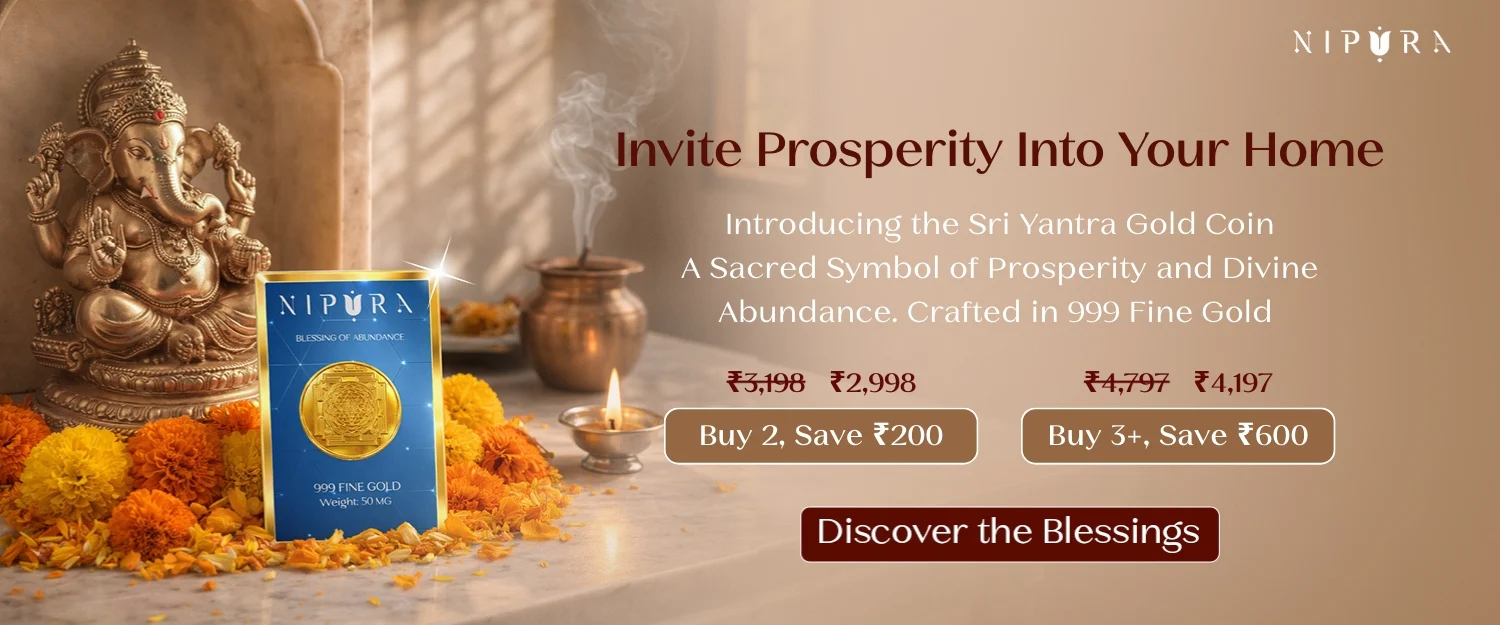 Arrive in Style with Nipura